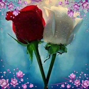 Meet your Posher, Lucy